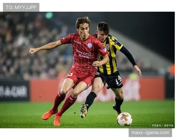 维特斯攻防平衡表现稳健